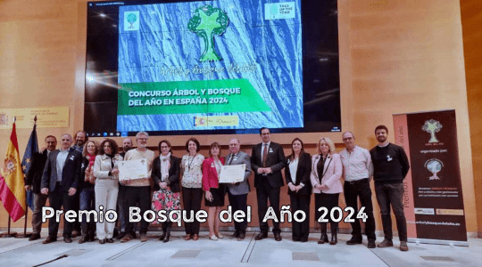 Premio Bosque del Año 2024