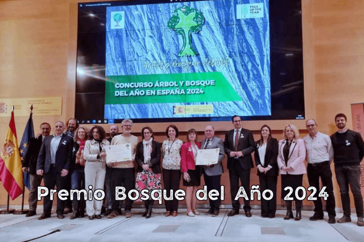 Empezamos con una idea y acabó ganando el Premio al Bosque del Año 2024